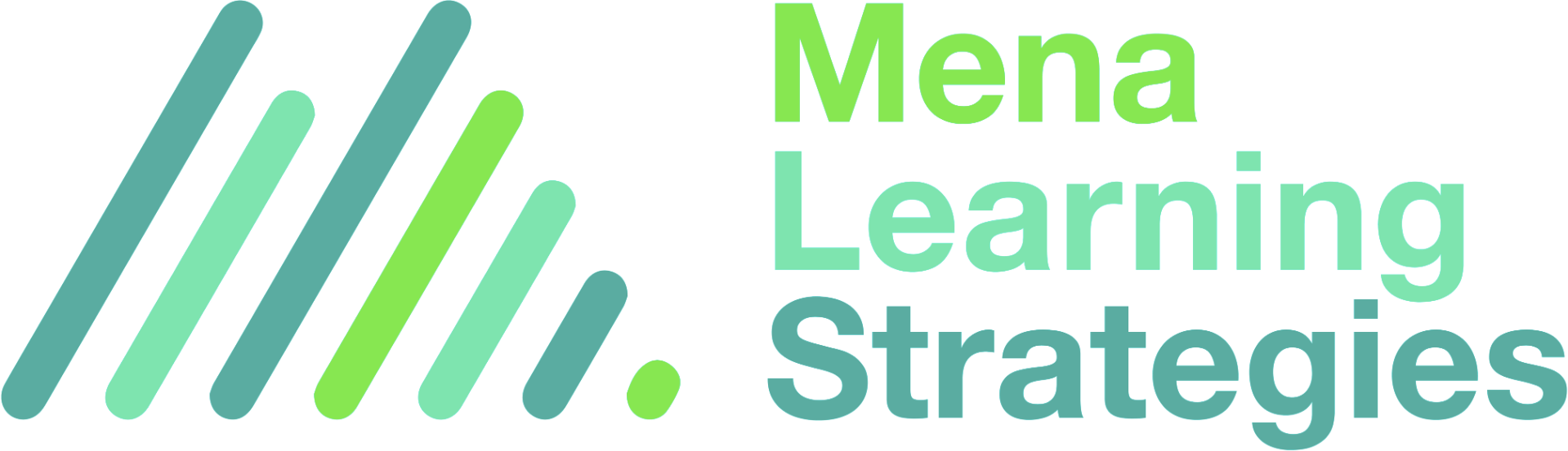 MENA LEARNING STRATEGIES LLC